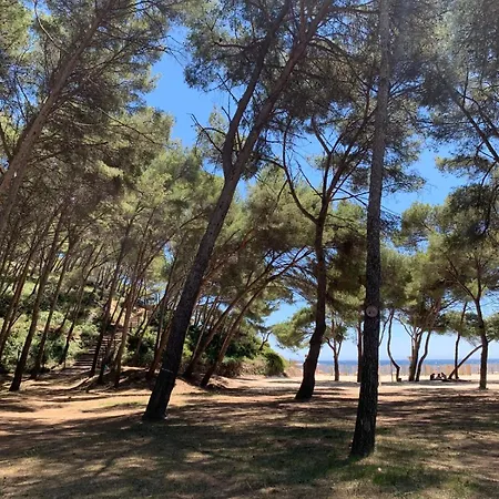 Le Petit Azur Бандоль
